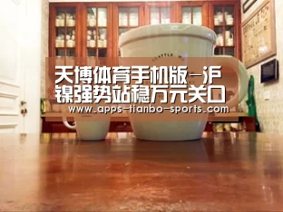 天博体育手机版
