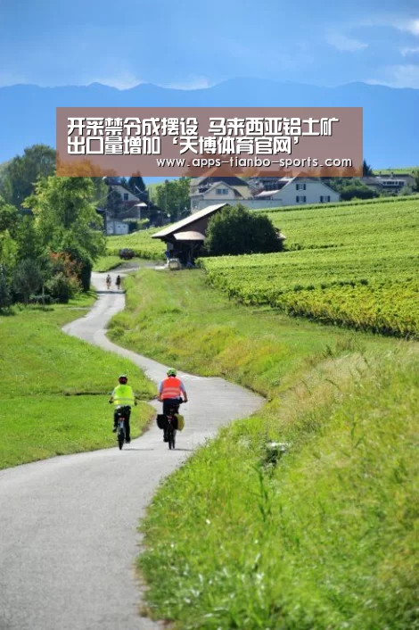 开采禁令成摆设 马来西亚铝土矿出口量增加‘天博体育官网’(图1) 天博体育手机版