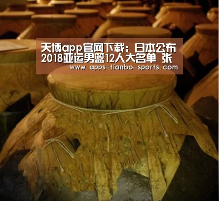 天博体育app最新版本